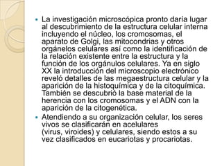 La investigación microscópica pronto daría lugar
al descubrimiento de la estructura celular interna
incluyendo el núcleo, los cromosomas, el
aparato de Golgi, las mitocondrias y otros
orgánelos celulares así como la identificación de
la relación existente entre la estructura y la
función de los orgánulos celulares. Ya en siglo
XX la introducción del microscopio electrónico
reveló detalles de las megaestructura celular y la
aparición de la histoquímica y de la citoquímica.
También se descubrió la base material de la
herencia con los cromosomas y el ADN con la
aparición de la citogenética.
 Atendiendo a su organización celular, los seres
vivos se clasificarán en acelulares
(virus, viroides) y celulares, siendo estos a su
vez clasificados en eucariotas y procariotas.


 