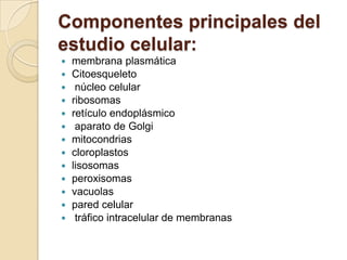 Componentes principales del
estudio celular:

















membrana plasmática
Citoesqueleto
núcleo celular
ribosomas
retículo endoplásmico
aparato de Golgi
mitocondrias
cloroplastos
lisosomas
peroxisomas
vacuolas
pared celular
tráfico intracelular de membranas

 