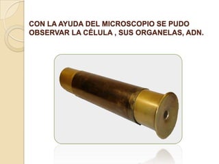 CON LA AYUDA DEL MICROSCOPIO SE PUDO
OBSERVAR LA CÉLULA , SUS ORGANELAS, ADN.

 