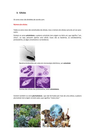3. Células
Os seres vivos são divididos de acordo com:
Número de células
Todos os seres vivos são constituídos de células, mas o número de células varia de um ser para
outro.
Existem os seres unicelulares, a palavra unicelular tem origem no latim uni, que significa "um,
único", ou seja, possuem apenas uma célula. Esses são as bactérias, as cianobactérias,
protozoários, as algas unicelulares e as leveduras.
Bactéria Escherichia coli, vista em microscópio eletrônico, ser unicelular.
Formas das células dos protozoários, seres unicelulares.
Existem também os seres pluricelulares , que são formados por mais de uma célula, a palavra
pluricelular tem origem no latim pluri, que significa "maior,mais "
 