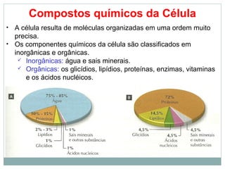 Compostos químicos da Célula
• A célula resulta de moléculas organizadas em uma ordem muito
precisa.
• Os componentes químicos da célula são classificados em
inorgânicas e orgânicas.
 Inorgânicas: água e sais minerais.
 Orgânicas: os glicídios, lipídios, proteínas, enzimas, vitaminas
e os ácidos nucléicos.
 