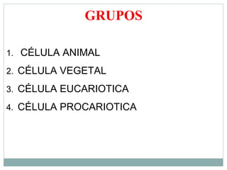 GRUPOS
1. CÉLULA ANIMAL
2. CÉLULA VEGETAL
3. CÉLULA EUCARIOTICA
4. CÉLULA PROCARIOTICA
 