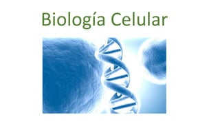 Biología Celular
 