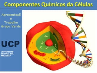 Apresentaçã
o
Trabalho
Grupo Verde
UCP
UNIVERSIDAD
CENTRAL DEL
PARAGUAY
Componentes Químicos da Células
 
