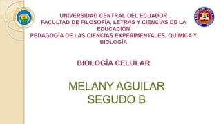 MELANY AGUILAR
SEGUDO B
UNIVERSIDAD CENTRAL DEL ECUADOR
FACULTAD DE FILOSOFÍA, LETRAS Y CIENCIAS DE LA
EDUCACIÓN
PEDAGOGÍA DE LAS CIENCIAS EXPERIMENTALES, QUÍMICA Y
BIOLOGÍA
BIOLOGÍA CELULAR
 