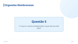 Organela
s
Slide
6
Questão 5
Organelas Membranosas
5. O que é o retículo endoplasmático e quais são seus dois
tipos?
 