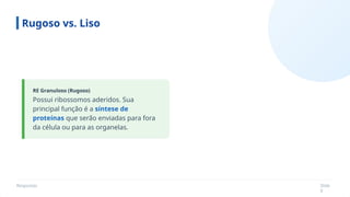 Respostas Slide
9
RE Granuloso (Rugoso)
Rugoso vs. Liso
Possui ribossomos aderidos. Sua
principal função é a síntese de
proteínas que serão enviadas para fora
da célula ou para as organelas.
 