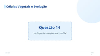 Evolução Slide
16
Questão 14
Células Vegetais e Evolução
14. O que são cloroplastos e clorofila?
 