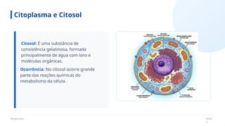 Respostas Slide
3
Citoplasma e Citosol
Citosol: É uma substância de
consistência gelatinosa, formada
principalmente de água com íons e
moléculas orgânicas.
Ocorrência: No citosol ocorre grande
parte das reações químicas do
metabolismo da célula.
 