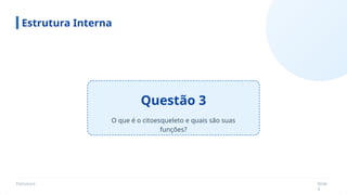 Estrutura Slide
4
Questão 3
Estrutura Interna
O que é o citoesqueleto e quais são suas
funções?
 