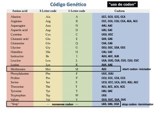 Biologia Celular - Transcrição e Tradução.pdf