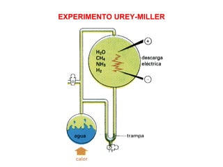 EXPERIMENTO UREY-MILLER
 