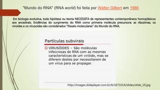 "Mundo do RNA" (RNA world) foi feita por Walter Gilbert em 1986
Em biologia evolutiva, toda hipótese ou teoria NECESSITA de representantes contemporâneos homoplásicos
aos ancestrais. Evidências do surgimento do RNA como primeira molécula precursora: as ribozimas, os
viroides e os virusoides são considerados “fósseis moleculares” do Mundo do RNA.
http://images.slideplayer.com.br/6/1671014/slides/slide_19.jpg
 