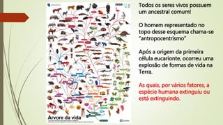 Todos os seres vivos possuem
um ancestral comum!
O homem representado no
topo desse esquema chama-se
“antropocentrismo”
Após a origem da primeira
célula eucarionte, ocorreu uma
explosão de formas de vida na
Terra.
As quais, por vários fatores, a
espécie humana extinguiu ou
está extinguindo.
 
