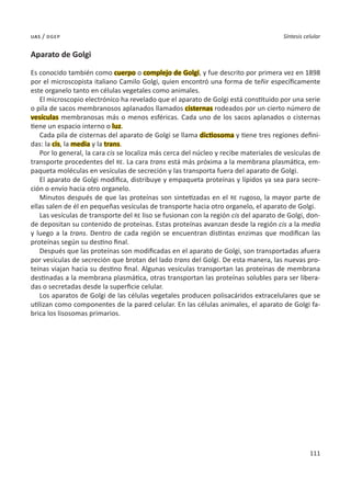 111
Síntesis celular
uas / dgep
Aparato de Golgi
Es conocido también como cuerpo o complejo de Golgi, y fue descrito por primera vez en 1898
por el microscopista italiano Camilo Golgi, quien encontró una forma de teñir específicamente
este organelo tanto en células vegetales como animales.
El microscopio electrónico ha revelado que el aparato de Golgi está constituido por una serie
o pila de sacos membranosos aplanados llamados cisternas rodeados por un cierto número de
vesículas membranosas más o menos esféricas. Cada uno de los sacos aplanados o cisternas
tiene un espacio interno o luz.
Cada pila de cisternas del aparato de Golgi se llama dictiosoma y tiene tres regiones defini-
das: la cis, la media y la trans.
Por lo general, la cara cis se localiza más cerca del núcleo y recibe materiales de vesículas de
transporte procedentes del RE. La cara trans está más próxima a la membrana plasmática, em-
paqueta moléculas en vesículas de secreción y las transporta fuera del aparato de Golgi.
El aparato de Golgi modifica, distribuye y empaqueta proteínas y lípidos ya sea para secre-
ción o envío hacia otro organelo.
Minutos después de que las proteínas son sintetizadas en el RE rugoso, la mayor parte de
ellas salen de él en pequeñas vesículas de transporte hacia otro organelo, el aparato de Golgi.
Las vesículas de transporte del RE liso se fusionan con la región cis del aparato de Golgi, don-
de depositan su contenido de proteínas. Estas proteínas avanzan desde la región cis a la media
y luego a la trans. Dentro de cada región se encuentran distintas enzimas que modifican las
proteínas según su destino final.
Después que las proteínas son modificadas en el aparato de Golgi, son transportadas afuera
por vesículas de secreción que brotan del lado trans del Golgi. De esta manera, las nuevas pro-
teínas viajan hacia su destino final. Algunas vesículas transportan las proteínas de membrana
destinadas a la membrana plasmática, otras transportan las proteínas solubles para ser libera-
das o secretadas desde la superficie celular.
Los aparatos de Golgi de las células vegetales producen polisacáridos extracelulares que se
utilizan como componentes de la pared celular. En las células animales, el aparato de Golgi fa-
brica los lisosomas primarios.
 