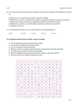 115
Repaso de la unidad
dgep
8.	 La secuencia de sucesos para que se sintetice una proteína y luego sea secretada por la célula
es:
a. Ribosomas, REL, vesícula de secreción y aparato de Golgi
b. Ribosomas, luz del RE, vesículas de transporte, complejo de Golgi y vesícula de secreción
c. Ribosomas, lisosomas primarios, complejo de Golgi y vesículas de secreción
d. Ribosomas, luz del RE, cuerpo de Golgi , lisosomas y vesículas de secreción
e. Ninguna es correcta
9.	 Si el anticodón del ARNt es GUA, el codón del ARNm correspondiente es:
a. CTT		 b. CTA		 c. GTA		 d. CUA		 e. CAU
En la siguiente sopa de letras, localiza lo que se te pide:
1.	 Son los organelos más numerosos de las células.
2.	 Es la síntesis de ARNm en el núcleo celular.
3.	 Son los monómeros de las proteínas.
4.	 ARN que posee un triplete especial de bases nitrogenadas, llamado anticodón.
5.	 Se le llama así, al enlace entre dos aminoácidos.
6.	 Retículo endoplásmico que posee ribosomas sobre su superficie externa.
7.	 Ion que almacena el retículo endoplásmico liso.
P E P T I D I C O H T A C
L A G U N I L L A D R O S
A D E R I B O S O M A S E
G U A D A L A J A R N I G
A M I N O A C I D O S A S
N A R A N J I C A L C I O
G I G A N T E S I M R P U
I S R U G O S O R R I P I
N I C O D E M I T O P O R
T R A N S F E R E N C I A
U R T U Z U A S T E I G U
Y U R I R I A G U A O N A
A Y U D A I N M E D N I A
 