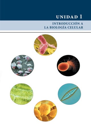 unidad 1
Introducción a
la biología celular
 
