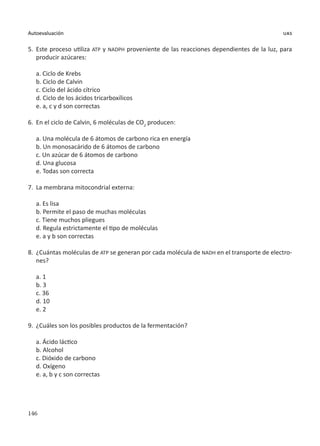 146
Autoevaluación uas
5.	 Este proceso utiliza ATP y NADPH proveniente de las reacciones dependientes de la luz, para
producir azúcares:
a. Ciclo de Krebs
b. Ciclo de Calvin
c. Ciclo del ácido cítrico
d. Ciclo de los ácidos tricarboxílicos
e. a, c y d son correctas
6.	 En el ciclo de Calvin, 6 moléculas de CO2
producen:
a. Una molécula de 6 átomos de carbono rica en energía
b. Un monosacárido de 6 átomos de carbono
c. Un azúcar de 6 átomos de carbono
d. Una glucosa
e. Todas son correcta
7.	 La membrana mitocondrial externa:
a. Es lisa
b. Permite el paso de muchas moléculas
c. Tiene muchos pliegues
d. Regula estrictamente el tipo de moléculas
e. a y b son correctas
8.	 ¿Cuántas moléculas de ATP se generan por cada molécula de NADH en el transporte de electro-
nes?
a. 1
b. 3
c. 36
d. 10
e. 2
9.	 ¿Cuáles son los posibles productos de la fermentación?
a. Ácido láctico
b. Alcohol
c. Dióxido de carbono
d. Oxígeno
e. a, b y c son correctas
 