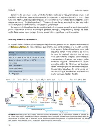 18
Unidad 1 biología celular
Concluyendo, las células son las unidades fundamentales de la vida, y la biología celular es el
medio al que debemos recurrir para encontrar la respuesta a la pregunta de qué es la vida y cómo
funciona. Además, la biología celular puede proporcionarnos respuestas a los interrogantes sobre
nosotros mismos: ¿De dónde venimos? ¿Cómo nos desarrollamos a partir de un solo ovocito fe-
cundado? ¿Por qué enfermamos, envejecemos y morimos?
Actualmente la biología celular es una ciencia rica, integradora que reúne las siguientes disci-
plinas: bioquímica, biofísica, microscopía, genética, fisiología, computación y biología del desa-
rrollo. Cada uno de estos campos tiene su propio interés y estilo de experimentación.
Unidad y diversidad de las células
La mayoría de las células son invisibles para el ojo humano; presentan una sorprendente variedad
de tamaños y formas. Se ha demostrado que la forma está condicionada por la función que rea-
lizan. Algunas de las células bacterianas más
pequeñas tienen forma cilíndrica de menos
de 1 µm de longitud, mientras que las neu-
ronas son de forma compleja con numerosas
prolongaciones delgadas que miden varios
metros de longitud. La mayoría de las células
vegetales miden de 20-30 µm de longitud,
tienen forma poligonal y pared celular rígida.
En promedio, las células del reino animal mi-
den de 10-60 µm de diámetro; su membrana
celular es muy delgada y flexible.
Figura1.6 El tamaño de los seres vivos y sus componentes. Se usa algún tipo de microscopio para ver la mayoría de
las células y sus niveles menores de organización biológica. Las células son visibles con el microscopio de luz pero con
poco detalle, de manera que es necesario usar el microscopio electrónico para ver los organelos celulares con presi-
ción, incluso, para observar virus y las mismas moléculas que lo constituyen.
Átomos
Aminoácidos
Cloroplasto
Bacterias Óvulo humano Hormiga
Ratón Rosas
Humano
Ballena azul
Huevo
de rana
Hue-
vo de
gallina
Células de
plantas y
animales
microscopio electrónico
microscopio de luz
Ojo humano
Proteína
0.1 nm 1 nm 10 nm 100 nm 1 mm 1 mm 1 cm 0.1 m 1 m 1 km
10 m 100 m
10 mm 100 mm
Virus
Tabla 1.1 Equivalencias de longitud utilizadas en mi-
croscopia.
1m = 103
mm = 106
µm = 109
nm = 1010
A
1mm = 103
µm = 106
nm = 107
A
m = metro
mm = milímetro
µm = micrómetro
nm = nanómetro
A = Angstrom
 