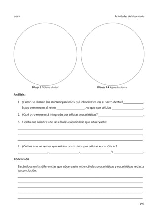 195
Actividades de laboratorio
dgep
Análisis:
1.	 ¿Cómo se llaman los microorganismos qué observaste en el sarro dental?____________.
Estos pertenecen al reino _________________, ya que son células ___________________.
2.	 ¿Qué otro reino está integrado por células procarióticas? ___________________________.
3.	 Escribe los nombres de las células eucarióticas que observaste:
___________________________________________________________________________
___________________________________________________________________________
___________________________________________________________________________
4.	 ¿Cuáles son los reinos que están constituidos por células eucarióticas?
__________________, __________________, __________________ y __________________.
Conclusión
Basándose en las diferencias que observaste entre células procarióticas y eucarióticas redacta
tu conclusión.
___________________________________________________________________________
___________________________________________________________________________
___________________________________________________________________________
___________________________________________________________________________
___________________________________________________________________________
Dibujo 1.3 Sarro dental. Dibujo 1.4 Agua de charca.
 
