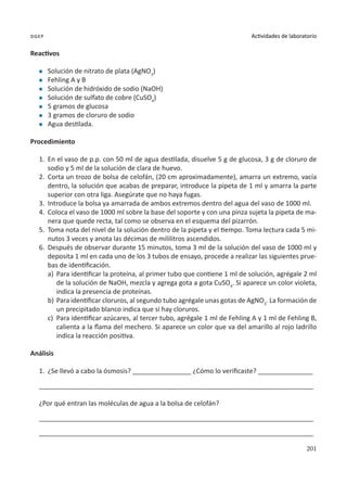 201
Actividades de laboratorio
dgep
Reactivos
l	 Solución de nitrato de plata (AgNO3
)
l	 Fehling A y B
l	 Solución de hidróxido de sodio (NaOH)
l	 Solución de sulfato de cobre (CuSO4
)
l	 5 gramos de glucosa
l	 3 gramos de cloruro de sodio
l	 Agua destilada.
Procedimiento
1.	 En el vaso de p.p. con 50 ml de agua destilada, disuelve 5 g de glucosa, 3 g de cloruro de
sodio y 5 ml de la solución de clara de huevo.
2.	Corta un trozo de bolsa de celofán, (20 cm aproximadamente), amarra un extremo, vacía
dentro, la solución que acabas de preparar, introduce la pipeta de 1 ml y amarra la parte
superior con otra liga. Asegúrate que no haya fugas.
3.	 Introduce la bolsa ya amarrada de ambos extremos dentro del agua del vaso de 1000 ml.
4.	 Coloca el vaso de 1000 ml sobre la base del soporte y con una pinza sujeta la pipeta de ma-
nera que quede recta, tal como se observa en el esquema del pizarrón.
5.	 Toma nota del nivel de la solución dentro de la pipeta y el tiempo. Toma lectura cada 5 mi-
nutos 3 veces y anota las décimas de mililitros ascendidos.
6.	Después de observar durante 15 minutos, toma 3 ml de la solución del vaso de 1000 ml y
deposita 1 ml en cada uno de los 3 tubos de ensayo, procede a realizar las siguientes prue-
bas de identificación.
a)	 Para identificar la proteína, al primer tubo que contiene 1 ml de solución, agrégale 2 ml
de la solución de NaOH, mezcla y agrega gota a gota CuSO4
. Si aparece un color violeta,
indica la presencia de proteínas.
b)	Para identificar cloruros, al segundo tubo agrégale unas gotas de AgNO3
. La formación de
un precipitado blanco indica que si hay cloruros.
c)	 Para identificar azúcares, al tercer tubo, agrégale 1 ml de Fehling A y 1 ml de Fehling B,
calienta a la flama del mechero. Si aparece un color que va del amarillo al rojo ladrillo
indica la reacción positiva.
Análisis
1.	 ¿Se llevó a cabo la ósmosis? ________________ ¿Cómo lo verificaste? _______________
___________________________________________________________________________
¿Por qué entran las moléculas de agua a la bolsa de celofán?
___________________________________________________________________________
___________________________________________________________________________
 