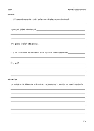 205
Actividades de laboratorio
dgep
Análisis
1.	 ¿Cómo se observan las células qué están rodeadas de agua destilada?
___________________________________________________________________________
Explica por qué se observan así. _________________________________________________
___________________________________________________________________________
___________________________________________________________________________
¿Por qué no estallan estas células?_______________________________________________
2.	 ¿Qué sucedió con las células qué están rodeadas de solución salina?_________________
___________________________________________________________________________
¿Por qué?___________________________________________________________________
___________________________________________________________________________
___________________________________________________________________________
___________________________________________________________________________
Conclusión
Basándote en las diferencias qué tiene esta actividad con la anterior redacta tu conclusión.
___________________________________________________________________________
___________________________________________________________________________
___________________________________________________________________________
___________________________________________________________________________
___________________________________________________________________________
___________________________________________________________________________
___________________________________________________________________________
 