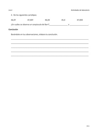 211
Actividades de laboratorio
dgep
2.	 De los siguientes cariotipos:
46,XY 47,XXY 46,XX 45,X 47,XXX
¿En cuáles se observa un corpúsculo de Barr?__________________ y __________________.
Conclusión
Basándote en tus observaciones, elabora tu conclusión.
___________________________________________________________________________
___________________________________________________________________________
___________________________________________________________________________
___________________________________________________________________________
___________________________________________________________________________
 