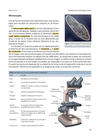23
Introducción a la Biología celular
uas / dgep
Microscopía
Una de las herramientas más importantes que usan los bió-
logos para estudiar las estructuras celulares es el micros-
copio.
El microscopio óptico (MO) es el más utilizado por la ma-
yoría de los estudiantes. Debido a que contiene varias len-
tes; el microscopio óptico moderno se denomina micros-
copio óptico compuesto. En este microscopio la luz visible
pasa a través de la muestra que se está observando por
medio de las lentes. Estas refractan (desvían) la luz, am-
pliando la imagen.
La claridad con la que se puede ver un objeto pequeño,
la determinan dos características: el aumento y el poder
de resolución. El aumento es la diferencia entre el tamaño
de la imagen vista con el microscopio y el tamaño real del objeto. Los mejores microscopios óp-
ticos normalmente amplían un objeto más de 1000 veces. La resolución o poder de resolución,
es la capacidad para distinguir detalles finos en una imagen; se define como la distancia mínima
entre dos puntos a la cual ambos se pueden ver separados y no como un único punto borroso.
El poder de resolución depende de la calidad de las lentes y de la longitud de onda de la luz de
iluminación. Mientras más pequeña es la longitud de onda, la resolución aumenta.
Tabla 1.2 Partes de un microscopio óptico compuesto.
Parte Función
Figura 1.13 Protozoario Paramecium
observado con el microscopio óptico.
Base
Base
Brazo
Da soporte al microscopio
Brazo Se usa para transportar el microscopio
Platina
Platina
Plataforma donde se coloca la laminilla
con lamuestra
Pinzas
Pinzas
Sujetan la preparación microscópica
Oculares
Oculares
Amplia la imagen para el usuario
Objetivos
Objetivo de
menor aumento
Objetivos
de mayor
aumento
Lentes de menor y mayor aumento que
amplificaran la muestra
Tornillo
macrométrico
Tornillo
macrométrico
Se usa para enfocar la imagen bajo
el objetivo de menor aumento
Tornillo
micrométrico Tornillo
micrométrico
Tornillo más pequeño que se usa para
enfocar la imagen con el objetivo de
mayor aumento
Diafragma
Diafragma
Controla la cantidad de luz que pasa a
través de la muestra
Fuente la luz
Fuente
la luz
Provee luz para observar la muestra
 