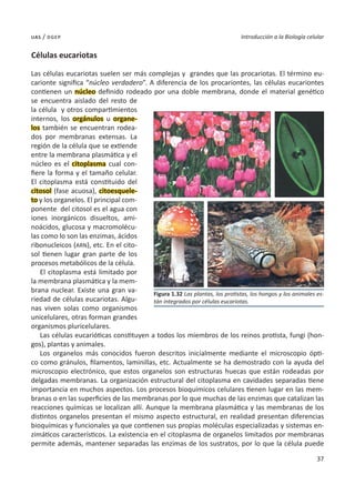 37
Introducción a la Biología celular
uas / dgep
Células eucariotas
Las células eucariotas suelen ser más complejas y grandes que las procariotas. El término eu-
carionte significa “núcleo verdadero”. A diferencia de los procariontes, las células eucariontes
contienen un núcleo definido rodeado por una doble membrana, donde el material genético
se encuentra aislado del resto de
la célula y otros compartimientos
internos, los orgánulos u organe-
los también se encuentran rodea-
dos por membranas extensas. La
región de la célula que se extiende
entre la membrana plasmática y el
núcleo es el citoplasma cual con-
fiere la forma y el tamaño celular.
El citoplasma está constituido del
citosol (fase acuosa), citoesquele-
to y los organelos. El principal com-
ponente del citosol es el agua con
iones inorgánicos disueltos, ami-
noácidos, glucosa y macromolécu-
las como lo son las enzimas, ácidos
ribonucleicos (ARN), etc. En el cito-
sol tienen lugar gran parte de los
procesos metabólicos de la célula.
El citoplasma está limitado por
la membrana plasmática y la mem-
brana nuclear. Existe una gran va-
riedad de células eucariotas. Algu-
nas viven solas como organismos
unicelulares, otras forman grandes
organismos pluricelulares.
Las células eucarióticas constituyen a todos los miembros de los reinos protista, fungi (hon-
gos), plantas y animales.
Los organelos más conocidos fueron descritos inicialmente mediante el microscopio ópti-
co como gránulos, filamentos, laminillas, etc. Actualmente se ha demostrado con la ayuda del
microscopio electrónico, que estos organelos son estructuras huecas que están rodeadas por
delgadas membranas. La organización estructural del citoplasma en cavidades separadas tiene
importancia en muchos aspectos. Los procesos bioquímicos celulares tienen lugar en las mem-
branas o en las superficies de las membranas por lo que muchas de las enzimas que catalizan las
reacciones químicas se localizan allí. Aunque la membrana plasmática y las membranas de los
distintos organelos presentan el mismo aspecto estructural, en realidad presentan diferencias
bioquímicas y funcionales ya que contienen sus propias moléculas especializadas y sistemas en-
zimáticos característicos. La existencia en el citoplasma de organelos limitados por membranas
permite además, mantener separadas las enzimas de los sustratos, por lo que la célula puede
Figura 1.32 Las plantas, los protistas, los hongos y los animales es-
tán integrados por células eucariotas.
 