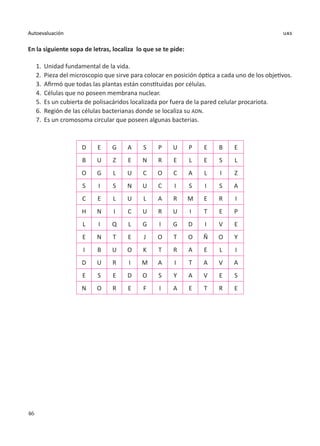 46
Autoevaluación uas
En la siguiente sopa de letras, localiza lo que se te pide:
1.	 Unidad fundamental de la vida.
2.	 Pieza del microscopio que sirve para colocar en posición óptica a cada uno de los objetivos.
3.	 Afirmó que todas las plantas están constituidas por células.
4.	Células que no poseen membrana nuclear.
5.	 Es un cubierta de polisacáridos localizada por fuera de la pared celular procariota.
6.	 Región de las células bacterianas donde se localiza su ADN.
7.	 Es un cromosoma circular que poseen algunas bacterias.
D E G A S P U P E B E
B U Z E N R E L E S L
O G L U C O C A L I Z
S I S N U C I S I S A
C E L U L A R M E R I
H N I C U R U I T E P
L I Q L G I G D I V E
E N T E J O T O Ñ O Y
I B U O K T R A E L I
D U R I M A I T A V A
E S E D O S Y A V E S
N O R E F I A E T R E
 