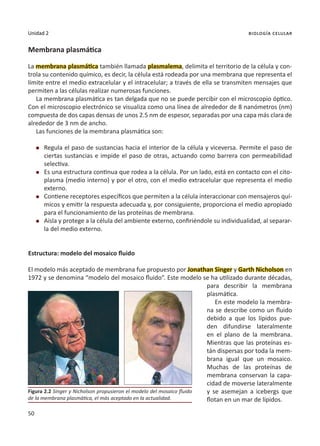 50
Unidad 2 biología celular
Membrana plasmática
La membrana plasmática también llamada plasmalema, delimita el territorio de la célula y con-
trola su contenido químico, es decir, la célula está rodeada por una membrana que representa el
límite entre el medio extracelular y el intracelular; a través de ella se transmiten mensajes que
permiten a las células realizar numerosas funciones.
La membrana plasmática es tan delgada que no se puede percibir con el microscopio óptico.
Con el microscopio electrónico se visualiza como una línea de alrededor de 8 nanómetros (nm)
compuesta de dos capas densas de unos 2.5 nm de espesor, separadas por una capa más clara de
alrededor de 3 nm de ancho.
Las funciones de la membrana plasmática son:
l	 Regula el paso de sustancias hacia el interior de la célula y viceversa. Permite el paso de
ciertas sustancias e impide el paso de otras, actuando como barrera con permeabilidad
selectiva.
l	 Es una estructura continua que rodea a la célula. Por un lado, está en contacto con el cito-
plasma (medio interno) y por el otro, con el medio extracelular que representa el medio
externo.
l	 Contiene receptores específicos que permiten a la célula interaccionar con mensajeros quí-
micos y emitir la respuesta adecuada y, por consiguiente, proporciona el medio apropiado
para el funcionamiento de las proteínas de membrana.
l	 Aísla y protege a la célula del ambiente externo, confiriéndole su individualidad, al separar-
la del medio externo.
Estructura: modelo del mosaico fluido
El modelo más aceptado de membrana fue propuesto por Jonathan Singer y Garth Nicholson en
1972 y se denomina “modelo del mosaico fluido”. Este modelo se ha utilizado durante décadas,
para describir la membrana
plasmática.
En este modelo la membra-
na se describe como un fluido
debido a que los lípidos pue-
den difundirse lateralmente
en el plano de la membrana.
Mientras que las proteínas es-
tán dispersas por toda la mem-
brana igual que un mosaico.
Muchas de las proteínas de
membrana conservan la capa-
cidad de moverse lateralmente
y se asemejan a icebergs que
flotan en un mar de lípidos.
Figura 2.2 Singer y Nicholson propusieron el modelo del mosaico fluido
de la membrana plasmática, el más aceptado en la actualidad.
 