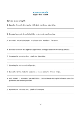 69
AUTOEVALUACIÓN
Repaso de la unidad
Contesta lo que se te pide
1.	 Describe el modelo del mosaico fluido de la membrana plasmática.
2.	 Explica el acomodo de los fosfolípidos en la membrana plasmática.
3.	 Explica los movimientos de los fosfolípidos en la membrana plasmática.
4.	 Explica el acomodo de las proteínas periféricas e integrales de la membrana plasmática.
5.	 Menciona las funciones de la membrana plasmática.
6.	 Menciona las funciones del glucocáliz.
7.	 Explica las formas mediante las cuales se puede realizar la difusión simple.
8.	 En la figura 2.12, explica por qué no se lleva a cabo la difusión de oxígeno desde el capilar san-
guíneo hacia el alveolo pulmonar.
9.	 Menciona las funciones de la pared celular vegetal.
 