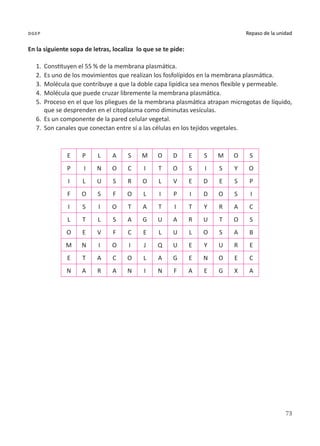 73
Repaso de la unidad
dgep
En la siguiente sopa de letras, localiza lo que se te pide:
1.	 Constituyen el 55 % de la membrana plasmática.
2.	 Es uno de los movimientos que realizan los fosfolípidos en la membrana plasmática.
3.	 Molécula que contribuye a que la doble capa lipídica sea menos flexible y permeable.
4.	 Molécula que puede cruzar libremente la membrana plasmática.
5.	 Proceso en el que los pliegues de la membrana plasmática atrapan microgotas de líquido,
que se desprenden en el citoplasma como diminutas vesículas.
6.	 Es un componente de la pared celular vegetal.
7.	 Son canales que conectan entre sí a las células en los tejidos vegetales.
E P L A S M O D E S M O S
P I N O C I T O S I S Y O
I L U S R O L V E D E S P
F O S F O L I P I D O S I
I S I O T A T I T Y R A C
L T L S A G U A R U T O S
O E V F C E L U L O S A B
M N I O I J Q U E Y U R E
E T A C O L A G E N O E C
N A R A N I N F A E G X A
 