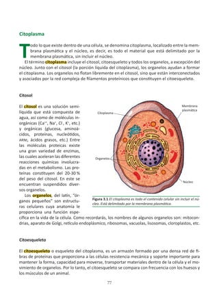 77
Citoplasma
T
odo lo que existe dentro de una célula, se denomina citoplasma, localizado entre la mem-
brana plasmática y el núcleo, es decir, es todo el material que está delimitado por la
membrana plasmática, sin incluir el núcleo.
El término citoplasma incluye el citosol, citoesqueleto y todos los organelos, a excepción del
núcleo. Junto con el citosol (la porción líquida del citoplasma), los organelos ayudan a formar
el citoplasma. Los organelos no flotan libremente en el citosol, sino que están interconectados
y asociados por la red compleja de filamentos proteínicos que constituyen el citoesqueleto.
Citosol
El citosol es una solución semi-
líquida que está compuesta de
agua, así como de moléculas in-
orgánicas (Ca++
, Na+
, Cl-
, K+
, etc.)
y orgánicas (glucosa, aminoá-
cidos, proteínas, nucleótidos,
ARNt, ácidos grasos, etc.) Entre
las moléculas proteicas existe
una gran variedad de enzimas,
las cuales aceleran las diferentes
reacciones químicas involucra-
das en el metabolismo. Las pro-
teínas constituyen del 20-30 %
del peso del citosol. En este se
encuentran suspendidos diver-
sos organelos.
Los organelos, del latín, “ór-
ganos pequeños” son estructu-
ras celulares cuya anatomía le
proporciona una función espe-
cífica en la vida de la célula. Como recordarás, los nombres de algunos organelos son: mitocon-
drias, aparato de Golgi, retículo endoplásmico, ribosomas, vacuolas, lisosomas, cloroplastos, etc.
Citoesqueleto
El citoesqueleto o esqueleto del citoplasma, es un armazón formado por una densa red de fi-
bras de proteínas que proporciona a las células resistencia mecánica y soporte importante para
mantener la forma, capacidad para moverse, transportar materiales dentro de la célula y el mo-
vimiento de organelos. Por lo tanto, el citoesqueleto se compara con frecuencia con los huesos y
los músculos de un animal.
Figura 3.1 El citoplasma es todo el contenido celular sin incluir el nú-
cleo. Está delimitado por la membrana plasmática.
Citoplasma
Organelos
Membrana
plasmática
Núcleo
 