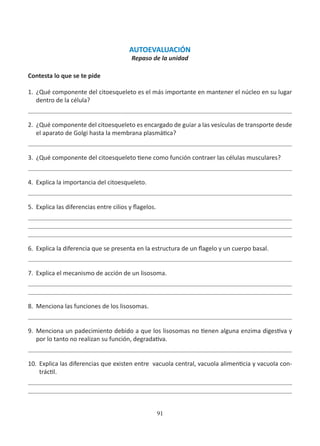 91
AUTOEVALUACIÓN
Repaso de la unidad
Contesta lo que se te pide
1.	 ¿Qué componente del citoesqueleto es el más importante en mantener el núcleo en su lugar
dentro de la célula?
2.	 ¿Qué componente del citoesqueleto es encargado de guiar a las vesículas de transporte desde
el aparato de Golgi hasta la membrana plasmática?
3.	 ¿Qué componente del citoesqueleto tiene como función contraer las células musculares?
4.	 Explica la importancia del citoesqueleto.
5.	 Explica las diferencias entre cilios y flagelos.
6.	 Explica la diferencia que se presenta en la estructura de un flagelo y un cuerpo basal.
7.	 Explica el mecanismo de acción de un lisosoma.
8.	 Menciona las funciones de los lisosomas.
9.	 Menciona un padecimiento debido a que los lisosomas no tienen alguna enzima digestiva y
por lo tanto no realizan su función, degradativa.
10.	 Explica las diferencias que existen entre vacuola central, vacuola alimenticia y vacuola con-
tráctil.
 