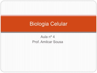Aula nº 4
Prof. Amilcar Sousa
Biologia Celular
 