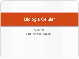 Aula º 5
Prof. Amilcar Sousa
Biologia Celular
 