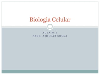 A U L A № 6
P R O F . A M I L C A R S O U S A
Biologia Celular
 