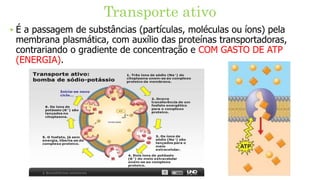 Transporte ativo
‣ É a passagem de substâncias (partículas, moléculas ou íons) pela
membrana plasmática, com auxílio das proteínas transportadoras,
contrariando o gradiente de concentração e COM GASTO DE ATP
(ENERGIA).
 