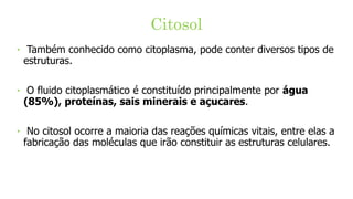 Citosol
‣ Também conhecido como citoplasma, pode conter diversos tipos de
estruturas.
‣ O fluido citoplasmático é constituído principalmente por água
(85%), proteínas, sais minerais e açucares.
‣ No citosol ocorre a maioria das reações químicas vitais, entre elas a
fabricação das moléculas que irão constituir as estruturas celulares.
 