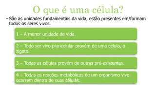 O que é uma célula?
• São as unidades fundamentais da vida, estão presentes em/formam
todos os seres vivos.
1 – A menor unidade de vida.
2 – Todo ser vivo pluricelular provém de uma célula, o
zigoto.
3 – Todas as células provém de outras pré-existentes.
4 – Todas as reações metabólicas de um organismo vivo
ocorrem dentro de suas células.
 