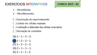 EXERCÍCIOS INTERATIVOS UFRGS 2015 - 02
(A) 1 – 1 – 2 – 2.
(B) 1 – 2 – 2 – 1.
(C) 1 – 2 – 2 – 2.
(D) 2 – 1 – 1 – 1.
(E) 2 – 1 – 1 – 2.
 
