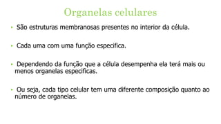 Organelas celulares
‣ São estruturas membranosas presentes no interior da célula.
‣ Cada uma com uma função especifica.
‣ Dependendo da função que a célula desempenha ela terá mais ou
menos organelas especificas.
‣ Ou seja, cada tipo celular tem uma diferente composição quanto ao
número de organelas.
 