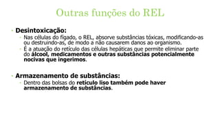 Outras funções do REL
‣ Desintoxicação:
‣ Nas células do fígado, o REL, absorve substâncias tóxicas, modificando-as
ou destruindo-as, de modo a não causarem danos ao organismo.
‣ É a atuação do retículo das células hepáticas que permite eliminar parte
do álcool, medicamentos e outras substâncias potencialmente
nocivas que ingerimos.
‣ Armazenamento de substâncias:
‣ Dentro das bolsas do retículo liso também pode haver
armazenamento de substâncias.
 
