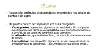 ‣ Plastos são orgânulos citoplasmáticos encontrados nas células de
plantas e de algas.
‣ Os plastos podem ser separados em duas categorias:
‣ Cromoplastos: apresentam pigmentos em seu interior. O cromoplasto
mais frequente nas plantas é o cloroplasto, cujo principal componente é
a clorofila, de cor verde. Há também plastos vermelhos,
os eritroplastos , que se desenvolvem, por exemplo, em frutos maduros
de tomate.
‣ Leucoplastos: que não contêm pigmentos, servem como estruturas de
armazenamento de substâncias. P. Ex: Amiloplasto (que estoca amido).
Plastos
 