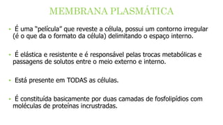MEMBRANA PLASMÁTICA
‣ É uma “película” que reveste a célula, possui um contorno irregular
(é o que da o formato da célula) delimitando o espaço interno.
‣ É elástica e resistente e é responsável pelas trocas metabólicas e
passagens de solutos entre o meio externo e interno.
‣ Está presente em TODAS as células.
‣ É constituída basicamente por duas camadas de fosfolipídios com
moléculas de proteínas incrustradas.
 
