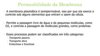 Permeabilidade da Membrana
‣ A membrana plasmática é semipermeável, isso por que ela exerce o
controle sob alguns elementos que entram e saem da célula.
‣ Permite a passagem livre de água e de pequenas moléculas, como
O2, e controla a passagem de moléculas grandes, como proteínas.
‣ Esses processos podem ser classificados em três categorias:
‣ Transporte passivo
‣ Transporte ativo
‣ Endocitose e Exocitose
 