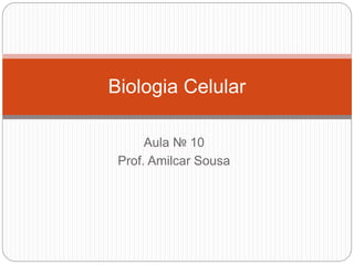 Aula № 10
Prof. Amilcar Sousa
Biologia Celular
 