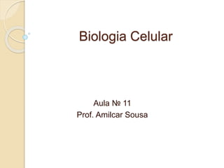 Biologia Celular
Aula № 11
Prof. Amilcar Sousa
 