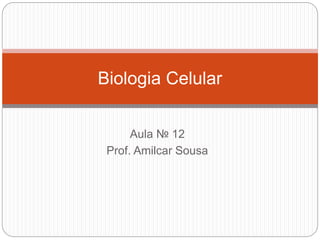 Aula № 12
Prof. Amilcar Sousa
Biologia Celular
 